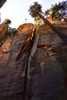 photo thumbnail #3