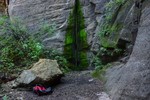 photo thumbnail #4