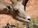 photo thumbnail #13