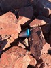 photo thumbnail #5