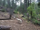 photo thumbnail #3