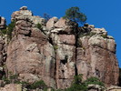 photo thumbnail #2