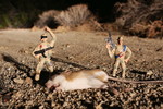 photo thumbnail #5