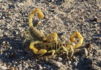 photo thumbnail #6