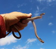 photo thumbnail #4