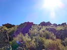 photo thumbnail #9
