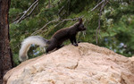 photo thumbnail #8