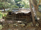 photo thumbnail #4
