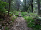 photo thumbnail #13