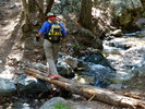 photo thumbnail #14