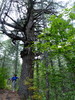 photo thumbnail #15