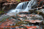 photo thumbnail #3