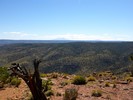 2015-10-02 :1: Cedar Mountain 7061 - Desert View :: kingsnake