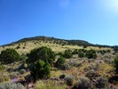photo thumbnail #14