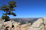 photo thumbnail #13