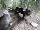 photo thumbnail #11