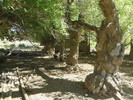 photo thumbnail #7