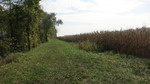 photo thumbnail #12