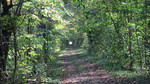photo thumbnail #15
