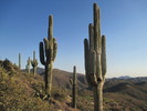 photo thumbnail #3