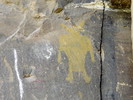 photo thumbnail #13