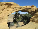 photo thumbnail #2