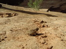 photo thumbnail #15