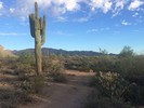 photo thumbnail #3