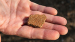 photo thumbnail #3
