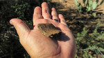 photo thumbnail #7