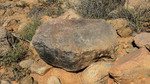 photo thumbnail #8