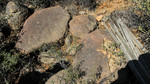 photo thumbnail #12