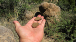 photo thumbnail #13
