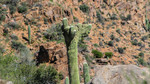 photo thumbnail #14