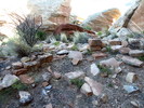 photo thumbnail #11