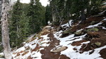 photo thumbnail #9