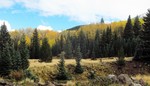 photo thumbnail #5