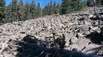 photo thumbnail #11