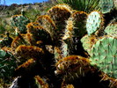 photo thumbnail #11