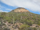 photo thumbnail #5