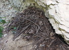 photo thumbnail #3
