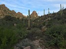 photo thumbnail #12