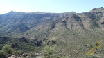 photo thumbnail #13