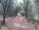 photo thumbnail #9
