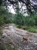 photo thumbnail #9