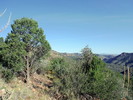photo thumbnail #11