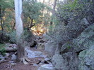 photo thumbnail #13