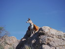 photo thumbnail #14
