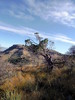 photo thumbnail #15