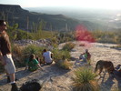photo thumbnail #12